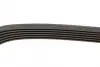 Пасок поліклиновий 6PK1020 BOSCH 1987947817 (фото 3)
