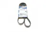 Ремінь генератора Renault Kangoo 1.9D 97-/Mazda 3/6/CX-5 2.2D 12-/Fiat Scudo 2.0 00-06 (6PK1190) BOSCH 1987947818 (фото 1)