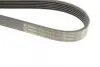 Ремінь генератора Renault Kangoo 1.9D 97-/Mazda 3/6/CX-5 2.2D 12-/Fiat Scudo 2.0 00-06 (6PK1190) BOSCH 1987947818 (фото 5)