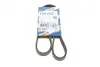 Ремінь генератора Renault Mascott 99-05/Iveco Daily 99-06/Mazda 323 89-96/MX-3 93-98 (4PK1015) BOSCH 1987947860 (фото 1)