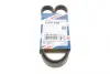 Ремінь генератора Opel Astra/Vectra 1.4/1.6i 88-95 (5PK990) знято з постачання BOSCH 1987947920 (фото 1)