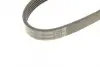 Ремінь генератора Opel Astra/Vectra 1.4/1.6i 88-95 (5PK990) знято з постачання BOSCH 1987947920 (фото 5)