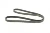 Ремінь генератора VW LT 2.8TDI 01-06/Volvo 850/S70/S80/V70 2.5TDI 95-06/Opel Astra 1.6 12- (6PK1685) BOSCH 1987947986 (фото 2)