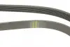 Ремінь генератора VW LT 2.8TDI 01-06/Volvo 850/S70/S80/V70 2.5TDI 95-06/Opel Astra 1.6 12- (6PK1685) BOSCH 1987947986 (фото 4)