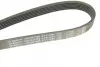 Ремінь генератора VW LT 2.8TDI 01-06/Volvo 850/S70/S80/V70 2.5TDI 95-06/Opel Astra 1.6 12- (6PK1685) BOSCH 1987947986 (фото 5)
