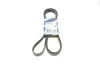 Ремінь генератора MB E-class (W211) 5.5 02-08 (M113)/Land Rover Range Rover 5.0SCV8 13- (6PK2445) BOSCH 1987947998 (фото 1)