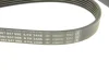 Ремінь генератора MB E-class (W211) 5.5 02-08 (M113)/Land Rover Range Rover 5.0SCV8 13- (6PK2445) BOSCH 1987947998 (фото 4)