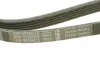Пасок поліклиновий 5PK2030 BOSCH 1987948331 (фото 2)