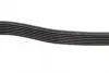 Ремінь генератора Ford Transit 2.4 DI-2.4TDCI 00-06 (7PK2875) BOSCH 1987948401 (фото 4)