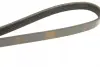 Ремінь генератора Opel Movano/Renault Master 2.5D/2.8DTI 98-01/Megane/Laguna 1.4-1.6 03-08 (5PK1195) BOSCH 1987948413 (фото 4)