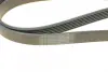Ремінь генератора Opel Astra J/Corsa D 1.7CDTI 09-15/Ford Focus 1.8TDCi 98-04 (6PK1715) BOSCH 1987948453 (фото 4)