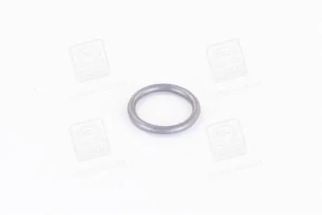 Ущільн. кільце (вир-во Bosch) BOSCH 3430210603