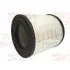 Air filter, primary. Фильтр воздушный, основной BOSS FILTERS BS01001 (фото 1)
