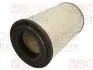 Воздушный фильтр BOSS FILTERS BS01029 (фото 1)