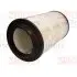 Air filter, primary. Фильтр воздушный, основной BOSS FILTERS BS01051 (фото 1)