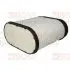 Air filter, primary. Фильтр воздушный, основной BOSS FILTERS BS01086 (фото 1)