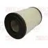 Air filter, primary. Фильтр воздушный, основной BOSS FILTERS BS01112 (фото 1)