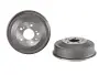 Гальмівний барабан Jumper I/Ducato/Boxer 94- (254x63,6mm) BREMBO 14316110 (фото 1)