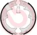 Колодка барабанного тормоза BREMBO S83545 (фото 1)
