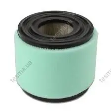 Air filter. Фильтр воздушный BRIGGS & STRATTON 393957 (фото 1)