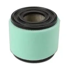 Air filter. Фильтр воздушный BRIGGS & STRATTON 393957