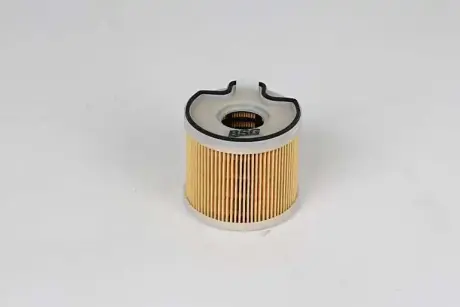 Фільтр паливний 2.0HDi Scudo/Expert 99-/Berlingo/Partner 99-05 (с-ма Bosch) BSG BSG70130007