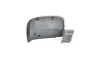 Корпус дзеркала VW T5/Caddy 03- Л. BSG BSG90915006 (фото 1)