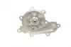 Water Pump. Насос водяний BUGATTI PA10053 (фото 8)