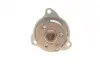 Water Pump. Насос водяний BUGATTI PA10073 (фото 4)