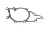 Water Pump. Насос водяний BUGATTI PA10090 (фото 9)