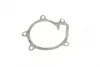 Water Pump. Насос водяний BUGATTI PA10096 (фото 8)