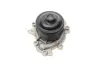 Water Pump. Насос водяний BUGATTI PA10110 (фото 9)