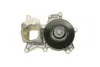 Water Pump. Насос водяний BUGATTI PA10134 (фото 7)