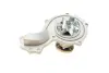 Water Pump. Насос водяний BUGATTI PA10162 (фото 3)
