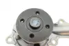 Water Pump. Насос водяний BUGATTI PA10172 (фото 8)