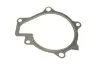 Water Pump. Насос водяний BUGATTI PA10181 (фото 8)