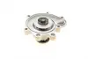 Water Pump. Насос водяний BUGATTI PA10192 (фото 9)
