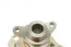 Water Pump. Насос водяний BUGATTI PA10199 (фото 5)
