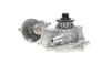 Water Pump. Насос водяний BUGATTI PA10206 (фото 8)