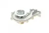 Water Pump. Насос водяний BUGATTI PA10224 (фото 4)