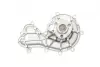 Water Pump. Насос водяний BUGATTI PA10224 (фото 7)