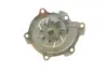 Water Pump. Насос водяний BUGATTI PA10239 (фото 1)