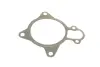 Water Pump. Насос водяний BUGATTI PA10257 (фото 9)