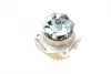 Water Pump. Насос водяний BUGATTI PA10267 (фото 4)