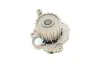 Water Pump. Насос водяний BUGATTI PA10267 (фото 9)