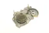 Water Pump. Насос водяний BUGATTI PA10284 (фото 5)