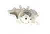 Water Pump. Насос водяний BUGATTI PA10335 (фото 2)