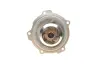 Помпа системи охолодження Audi A4/A6/Skoda Felicia/VW Golf/Caddy/Passat/Polo 1.9D/TDI/SDI 95- (R/B)(BUGATTI PA5108 (фото 2)