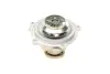 Помпа системи охолодження Audi A4/A6/Skoda Felicia/VW Golf/Caddy/Passat/Polo 1.9D/TDI/SDI 95- (R/B)(BUGATTI PA5108 (фото 3)