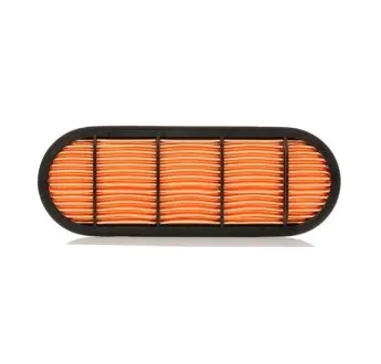 Фильтр воздушный, запасный. Фільтр повітряний, вторинний. Air filter, by-pass CAMETET 1011799